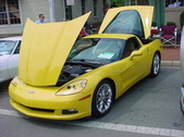 Enlarge photo 4433