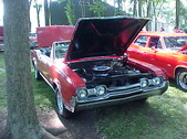 Enlarge photo 1625