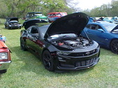 Enlarge photo 386