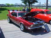 Enlarge photo 225