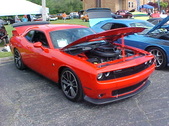 Enlarge photo 491