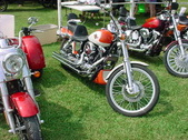 Enlarge photo 2161