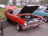 Enlarge photo 78