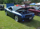 Enlarge photo 543