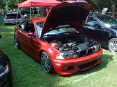 Enlarge photo 1595