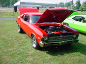 Enlarge photo 4529