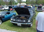 Enlarge photo 335