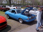 Enlarge photo 134