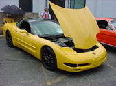 Enlarge photo 4538