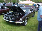Enlarge photo 331