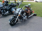Enlarge photo 573