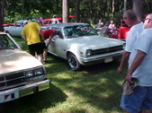 Enlarge photo 1529