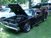 Enlarge photo 1681