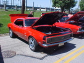 Enlarge photo 199