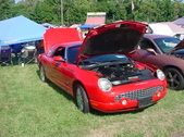 Enlarge photo 3475