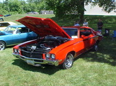 Enlarge photo 751