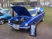 Enlarge photo 110