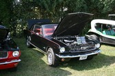 Enlarge photo 2453