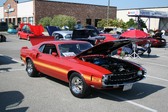 Enlarge photo 2541