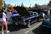 Enlarge photo 2591