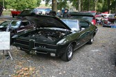 Enlarge photo 3152