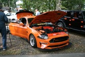 Enlarge photo 3184