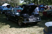 Enlarge photo 3431