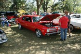 Enlarge photo 3425
