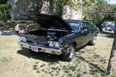 Enlarge photo 3509