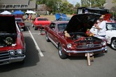 Enlarge photo 3729
