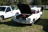 Enlarge photo 4130