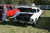 Enlarge photo 4134