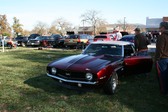 Enlarge photo 4401