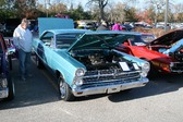 Enlarge photo 4291