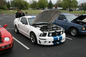 Enlarge photo 83