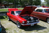 Enlarge photo 127