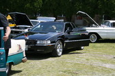 Enlarge photo 133