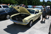 Enlarge photo 154