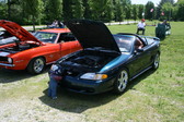 Enlarge photo 198