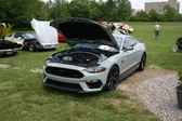 Enlarge photo 207