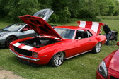 Enlarge photo 217