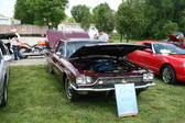Enlarge photo 221