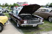 Enlarge photo 229