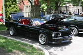 Enlarge photo 259