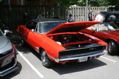 Enlarge photo 262
