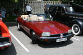 Enlarge photo 263