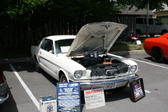 Enlarge photo 267