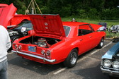 Enlarge photo 314