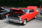 Enlarge photo 357