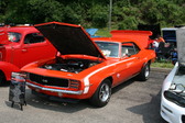 Enlarge photo 481